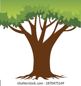 Tree Leaf plant nature eco green illustration