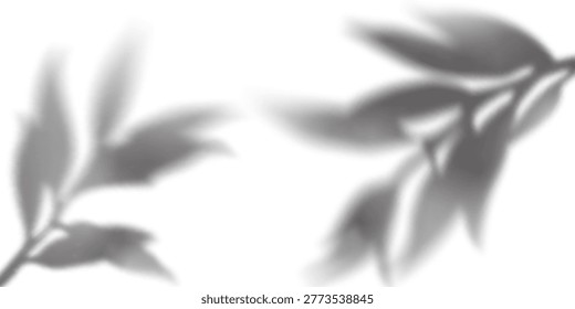 Tree Leaf Plant Shadow Overlay on White Wall. Realistic Nature Background with Sun Light Effect. Summer Foliage Reflection. Tree Branches with Leaves Shadow Gradation Pattern.