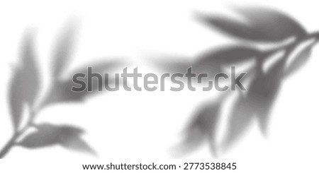Tree Leaf Plant Shadow Overlay on White Wall. Realistic Nature Background with Sun Light Effect. Summer Foliage Reflection. Tree Branches with Leaves Shadow Gradation Pattern.