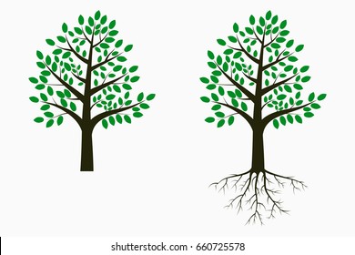 Tree with leaf and root. Set of trees. Vector illustration.