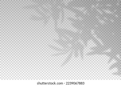 Tree leaf shadow. Plant leaves overlay shade. Soft reflect light from branches. Sun rays reflection from flowers. Reflected shades plants isolated on background for summer design. Vector illustration