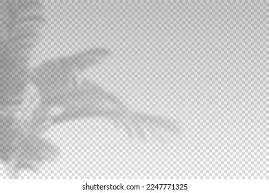 Tree leaf shadow. Plant leaves overlay shade. Soft reflect light from branches. Sun rays reflection from flowers. Reflected shades plants isolated on background for summer design. Vector illustration