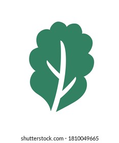 Tree leaf sign color vector illustration