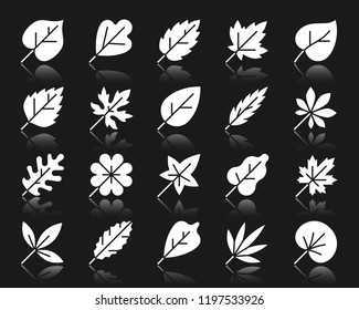 Tree leaf silhouette icons set. Isolated sign of season foliage. Garden pictogram collection, spices, laurel, chestnut. Simple contour organic nature symbol with reflection. White vector icon shape