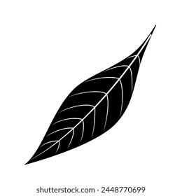 Tree leaf silhouette isolated cutout black and white monochrome vector clipart illustration. Autumn leaves design element. Summer nature pictogram, logo or icon. Tree foliage simple cartoon doodle.