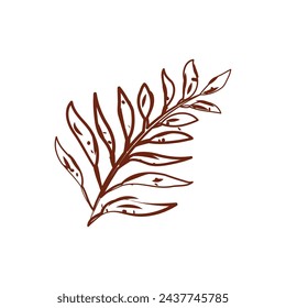 Tree leaf sketch icon Vector illustration