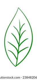 Tree leaf. Suitable for different designs. Vector Illustration.