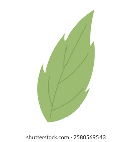 Tree leaf, a symbol of autumn and the changing seasons. Ideal for creating autumn designs, website design, logos, printed materials and souvenirs.