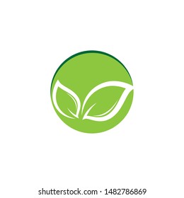 Tree leaf symbol vector icon illustration