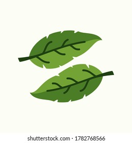 
Tree leaf vector design, environmentally friendly concept