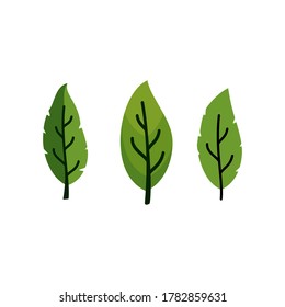 
Tree leaf vector design, environmentally friendly concept
