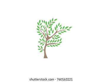 Tree and leaf vector drawing