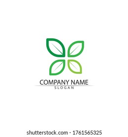 Tree leaf vector and green logo design friendly concept 