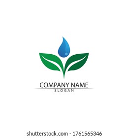 Tree leaf vector and green logo design friendly concept 