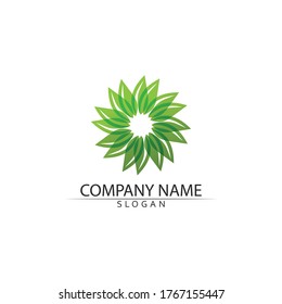 Tree leaf vector and green logo design friendly concept 