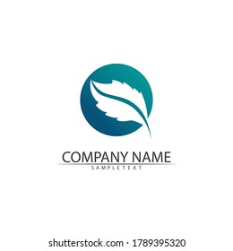 Tree leaf vector and green logo design friendly concept 