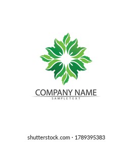 Tree leaf vector and green logo design friendly concept 