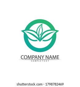 Tree leaf vector and green logo design friendly concept green