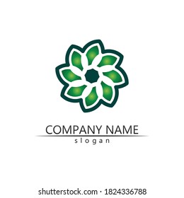 Tree leaf vector and green logo design friendly concept 