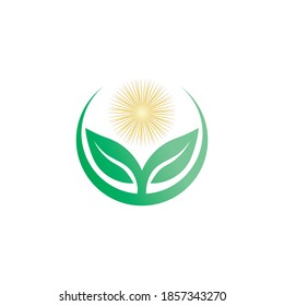 Tree leaf vector and green logo design friendly concept 