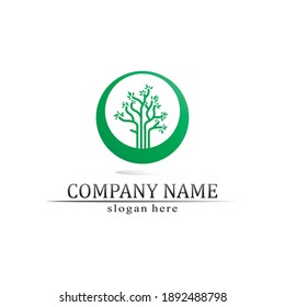 Tree leaf vector and green logo design friendly concept 