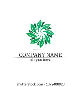 Tree leaf vector and green logo design friendly concept 