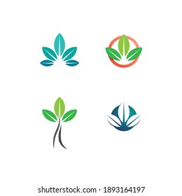 Tree leaf vector and green logo design friendly concept 