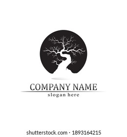 Tree leaf vector and green logo design friendly concept 