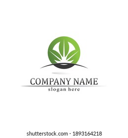 Tree leaf vector and green logo design friendly concept 