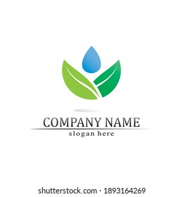 Tree leaf vector and green logo design friendly concept 