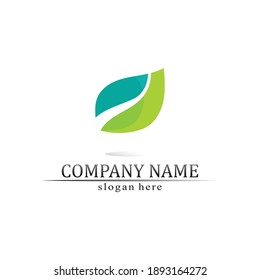 Tree leaf vector and green logo design friendly concept 