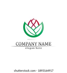 Tree leaf vector and green logo design friendly concept flower beauty