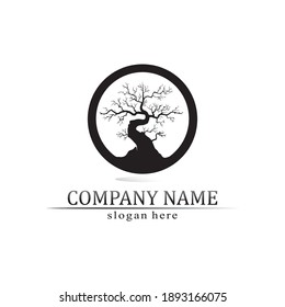 Baumblatt-Vektorgrafik und grünes Logo Design-freundliches Konzept Bonsai schwarz