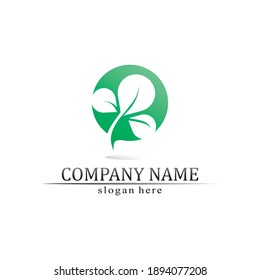 Tree leaf vector and green logo design friendly concept 