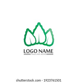 Tree leaf vector and green logo design friendly concept 
