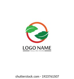 Tree leaf vector and green logo design friendly concept 