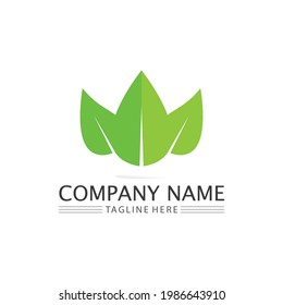 Tree leaf vector and green logo design friendly concept 