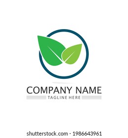 Tree leaf vector and green logo design friendly concept 