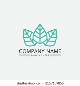 Tree leaf vector and green logo design friendly concept 