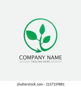 Tree leaf vector and green logo design friendly concept 