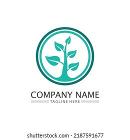 Tree leaf vector and green logo design friendly concept 