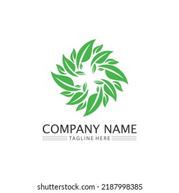 Tree leaf vector and green logo design friendly concept 