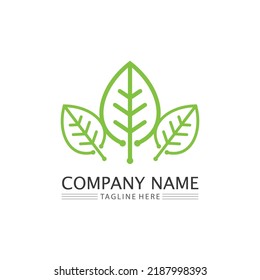 Tree leaf vector and green logo design friendly concept 