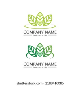 Tree leaf vector and green logo design friendly concept 
