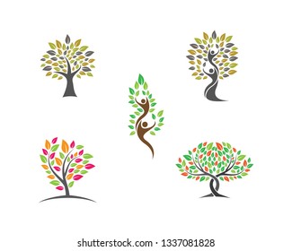 Tree leaf vector icon
