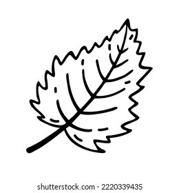 Tree leaf vector icon. Hand drawn illustration isolated on white. Simple botanical doodle, black outline. Leaf of a garden or wild plant - birch, aspen, poplar. Clipart for cards, posters, cosmetics