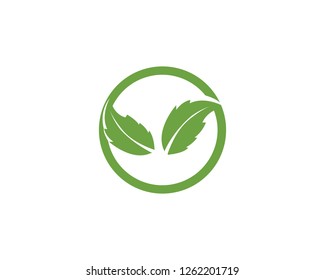 Tree Leaf Vector icon Illustration design template - Vector