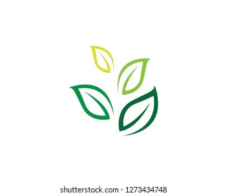 Tree Leaf Vector icon Illustration design template