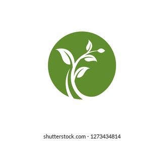 Tree Leaf Vector icon Illustration design template