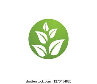 Tree Leaf Vector icon Illustration design template
